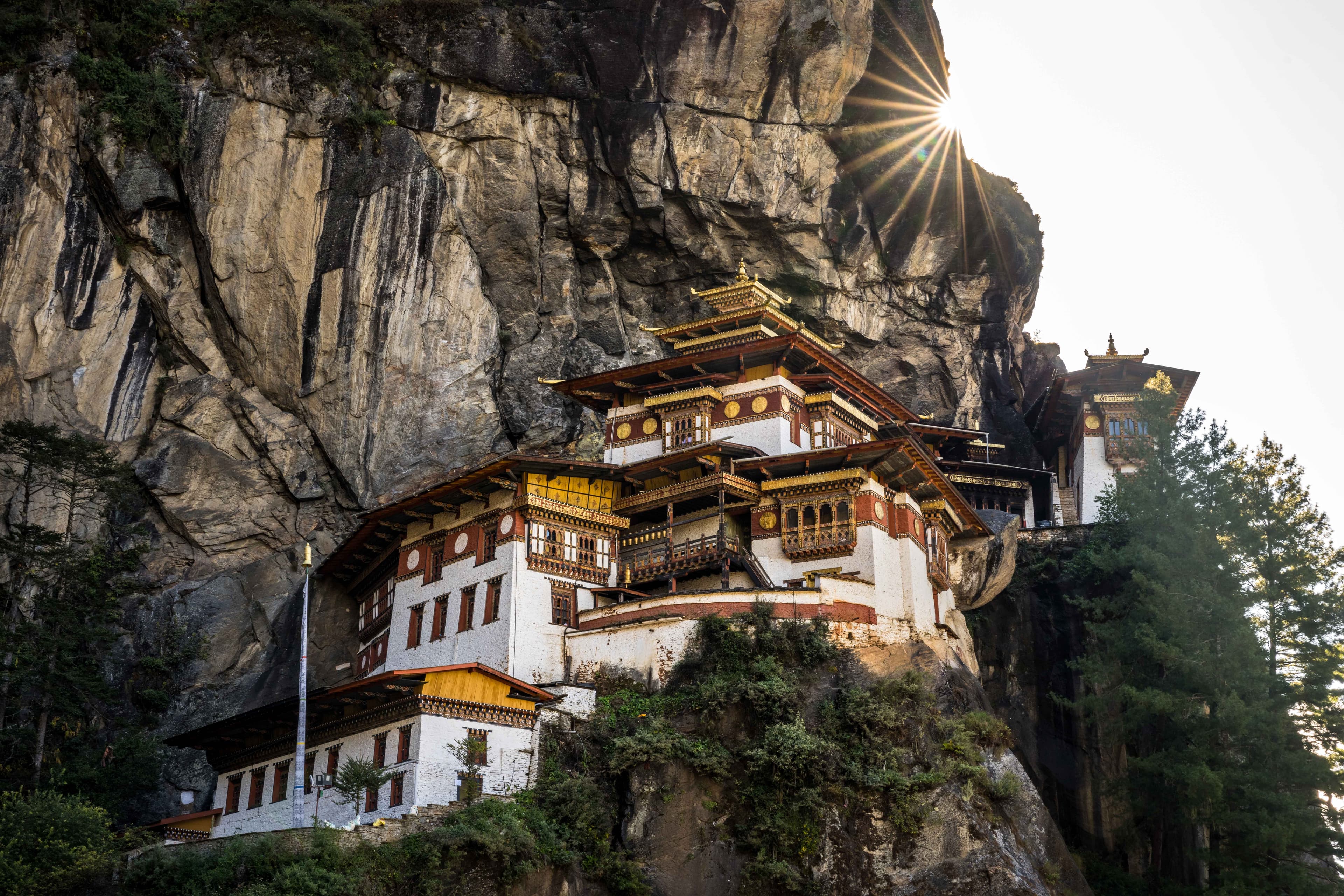 Paro